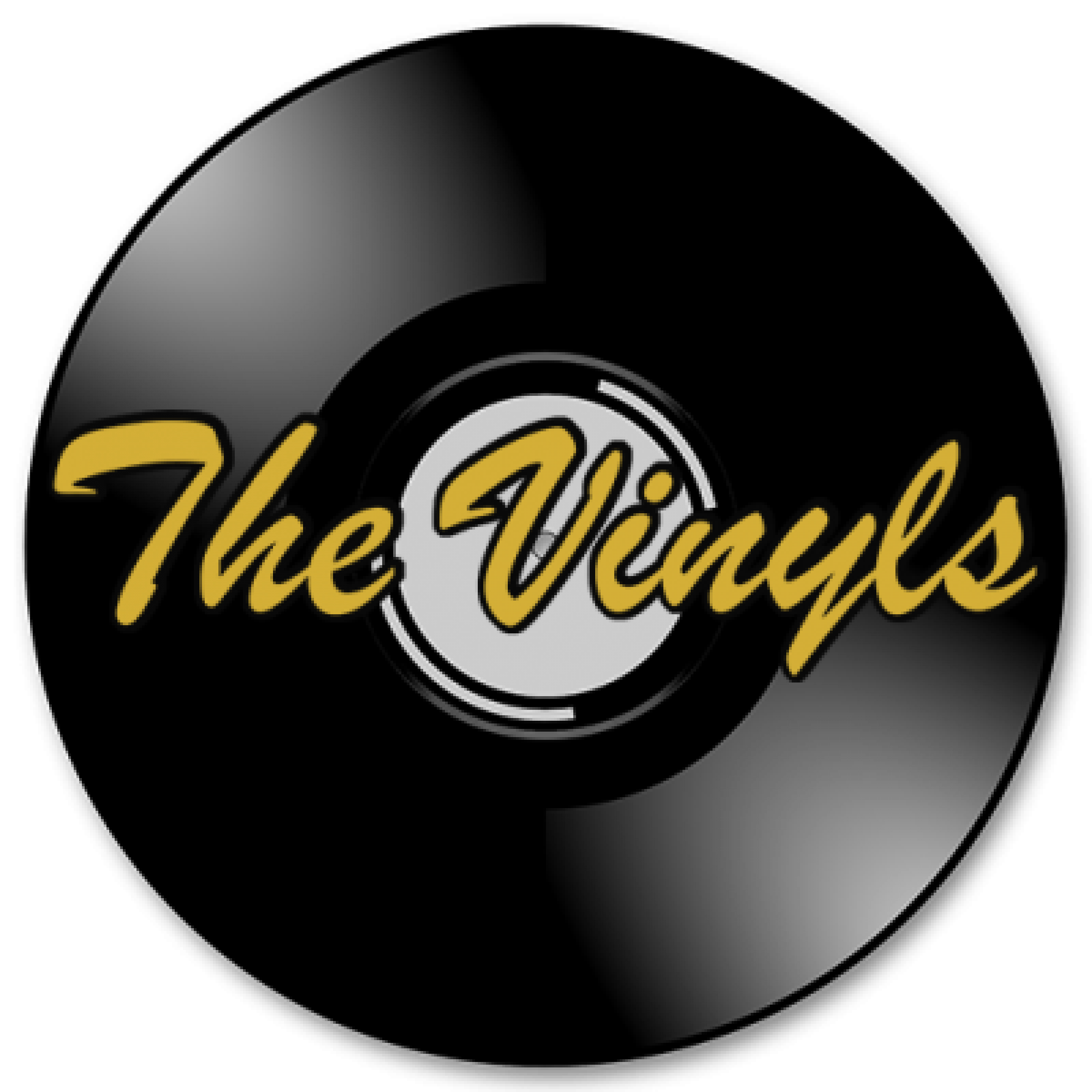 The Vinyls – Irish Wedding Band
